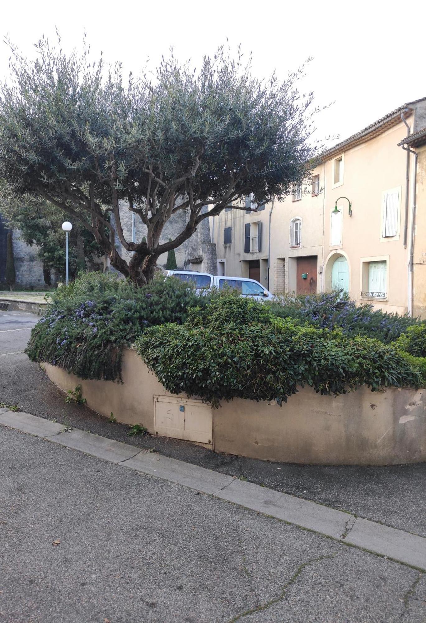 Studio Gite Mondragon